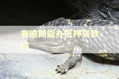 有逾期能办抵押贷款吗
