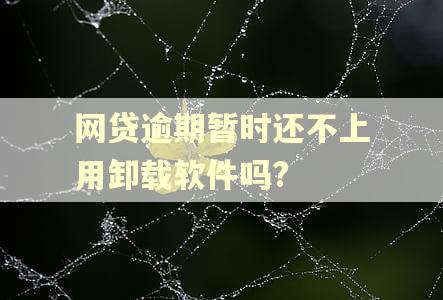 网贷逾期暂时还不上用卸载软件吗? 网贷逾期暂时还不上用卸载软件吗?