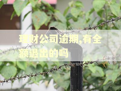 理财公司逾期,有全额退出的吗