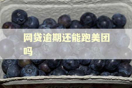 网贷逾期还能跑美团吗