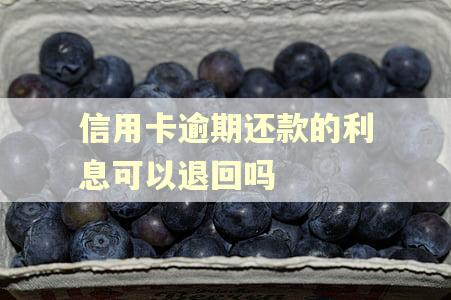 信用卡逾期还款的利息可以退回吗