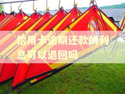 信用卡逾期还款的利息可以退回吗 信用卡逾期还款的利息可以退回吗