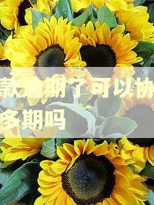 贷款逾期了可以协商分多期吗