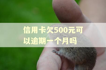 信用卡欠500元可以逾期一个月吗
