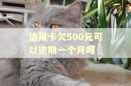 信用卡欠500元可以逾期一个月吗 信用卡欠500元可以逾期一个月吗