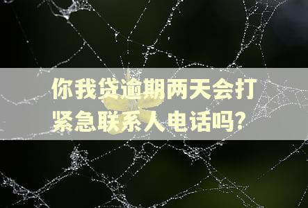 你我贷逾期两天会打紧急联系人电话吗? 你我贷逾期两天会打紧急联系人电话吗?