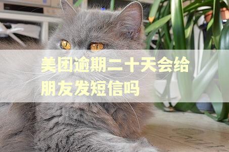 美团逾期二十天会给朋友发短信吗