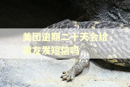 美团逾期二十天会给朋友发短信吗