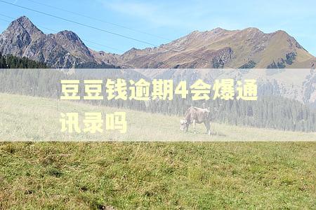 豆豆钱逾期4会爆通讯录吗