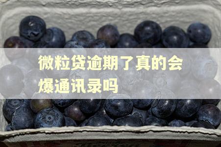 微粒贷逾期了真的会爆通讯录吗