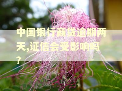 中国银行商贷逾期两天,证信会受影响吗?