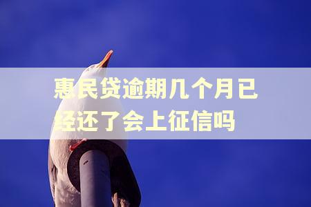 惠民贷逾期几个月已经还了会上征信吗