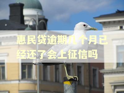 惠民贷逾期几个月已经还了会上征信吗