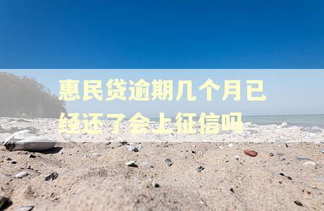 惠民贷逾期几个月已经还了会上征信吗