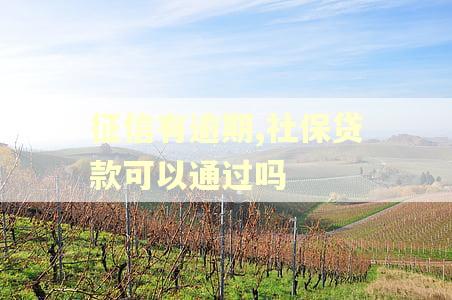 征信有逾期,社保贷款可以通过吗