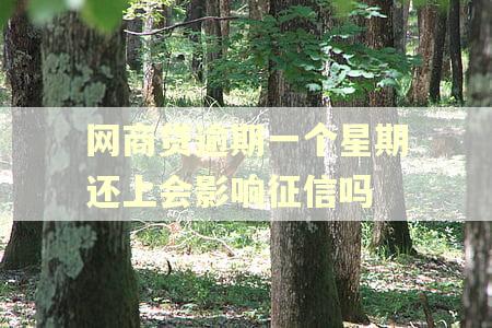 网商贷逾期一个星期还上会影响征信吗