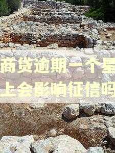网商贷逾期一个星期还上会影响征信吗 网商贷逾期一个星期还上会影响征信吗