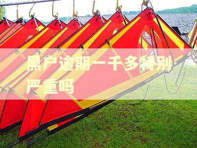 黑户逾期一千多特别严重吗