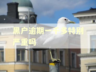黑户逾期一千多特别严重吗