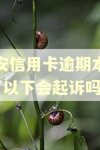 平安信用卡逾期本金5万以下会起诉吗