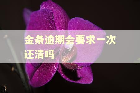 金条逾期会要求一次还清吗