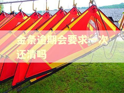 金条逾期会要求一次还清吗 金条逾期会要求一次还清吗
