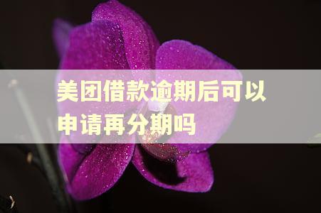 美团借款逾期后可以申请再分期吗