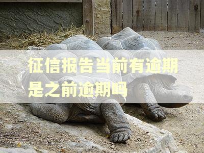 征信报告当前有逾期是之前逾期吗