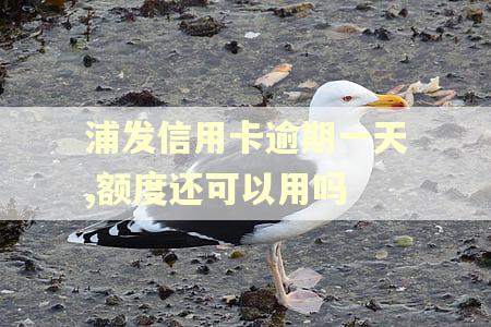 浦发信用卡逾期一天,额度还可以用吗