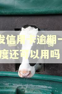 浦发信用卡逾期一天,额度还可以用吗