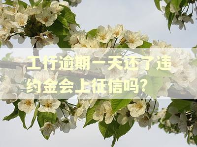 工行逾期一天还了违约金会上征信吗?
