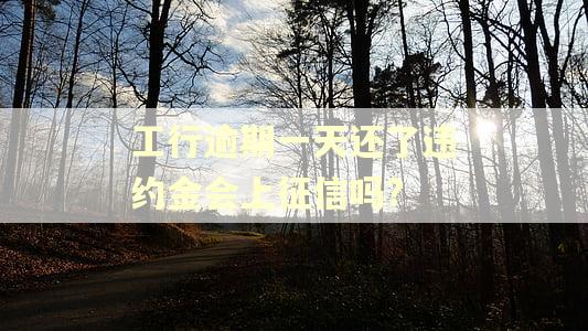 工行逾期一天还了违约金会上征信吗?