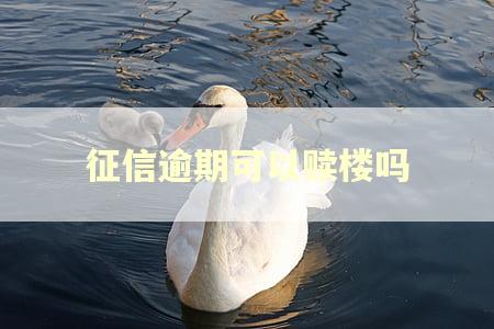 征信逾期可以赎楼吗