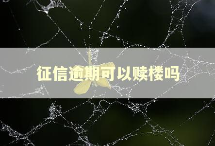 征信逾期可以赎楼吗 征信逾期可以赎楼吗