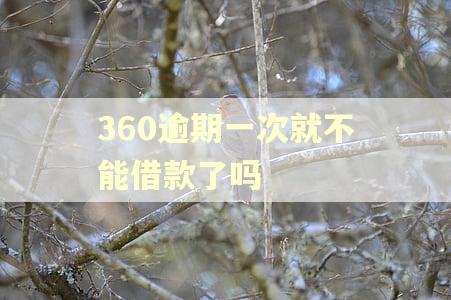 360逾期一次就不能借款了吗
