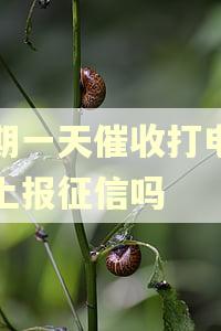 逾期一天催收打电话会上报征信吗