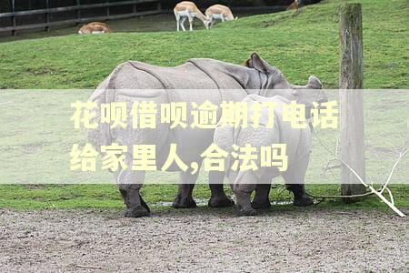 花呗借呗逾期打电话给家里人,合法吗