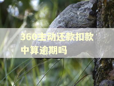 360主动还款扣款中算逾期吗
