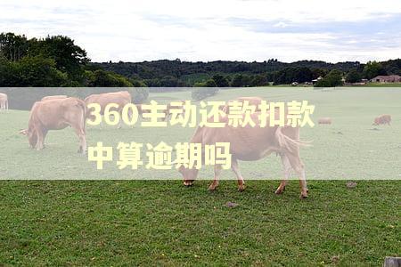 360主动还款扣款中算逾期吗