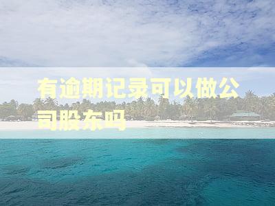 有逾期记录可以做公司股东吗