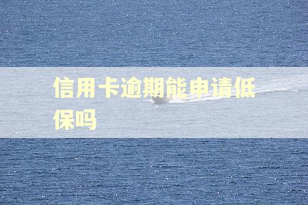 信用卡逾期能申请低保吗