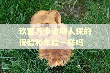 玖富万卡逾期人保的保险和车险一样吗