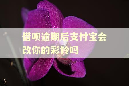 借呗逾期后支付宝会改你的彩铃吗