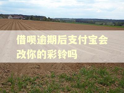 借呗逾期后支付宝会改你的彩铃吗