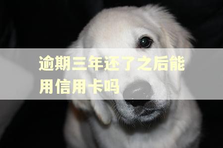 逾期三年还了之后能用信用卡吗