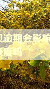 借呗逾期会影响诚e赊额度吗