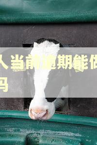 法人当前逾期能做税贷吗