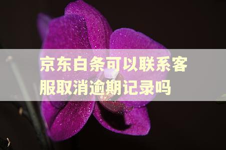 京东白条可以联系客服取消逾期记录吗