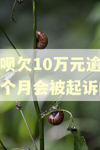 借呗欠10万元逾期三个月会被起诉吗