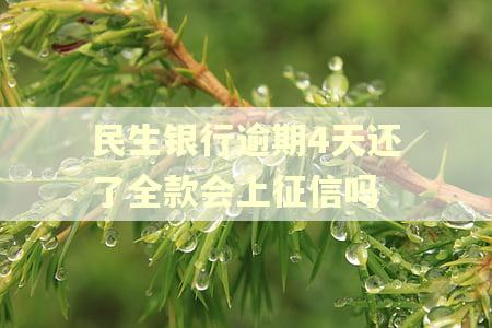 民生银行逾期4天还了全款会上征信吗